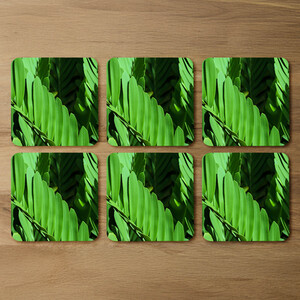 Natural dark green leaves, long slender green leaves Designer Coaster Set