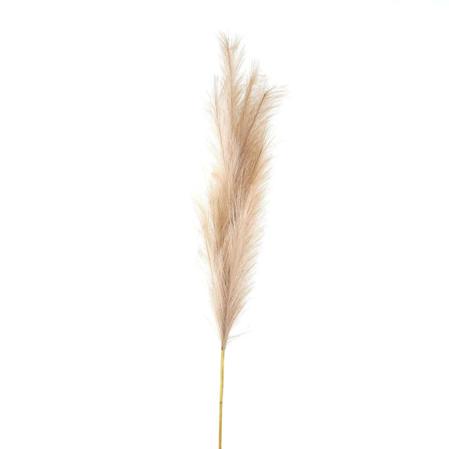 Set of 3 Bleached Faux Pampas Grass Stems - White