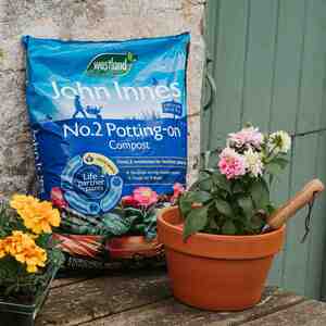 John Innes Peat-Free No.2 Potting-On Compost 28L