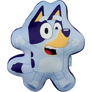 2 in 1 Bluey and Bingo Reversible Cushion