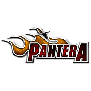 Pantera Flame Logo Badge