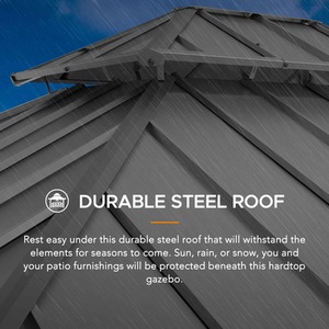  shot 16395459