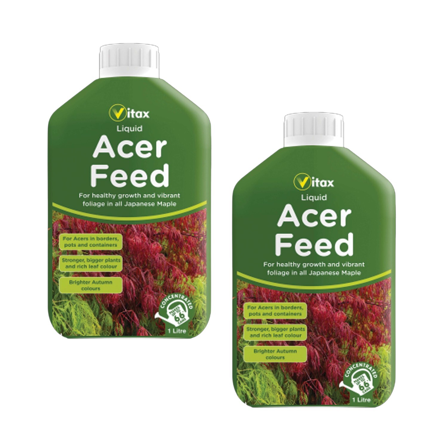 B&Q - Acer Liquid Feed Plant Fertiliser For Japanese Maple Trees 1L Pack Of 2 - Image 3