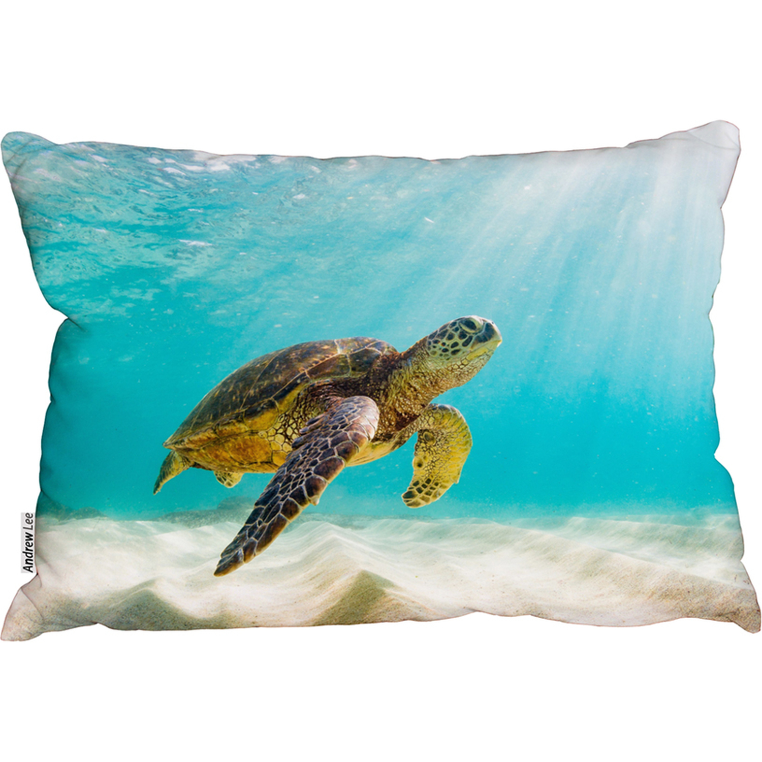 Photo Of Sea Turtle In The Galapagos Island Outdoor Cushion - Blue