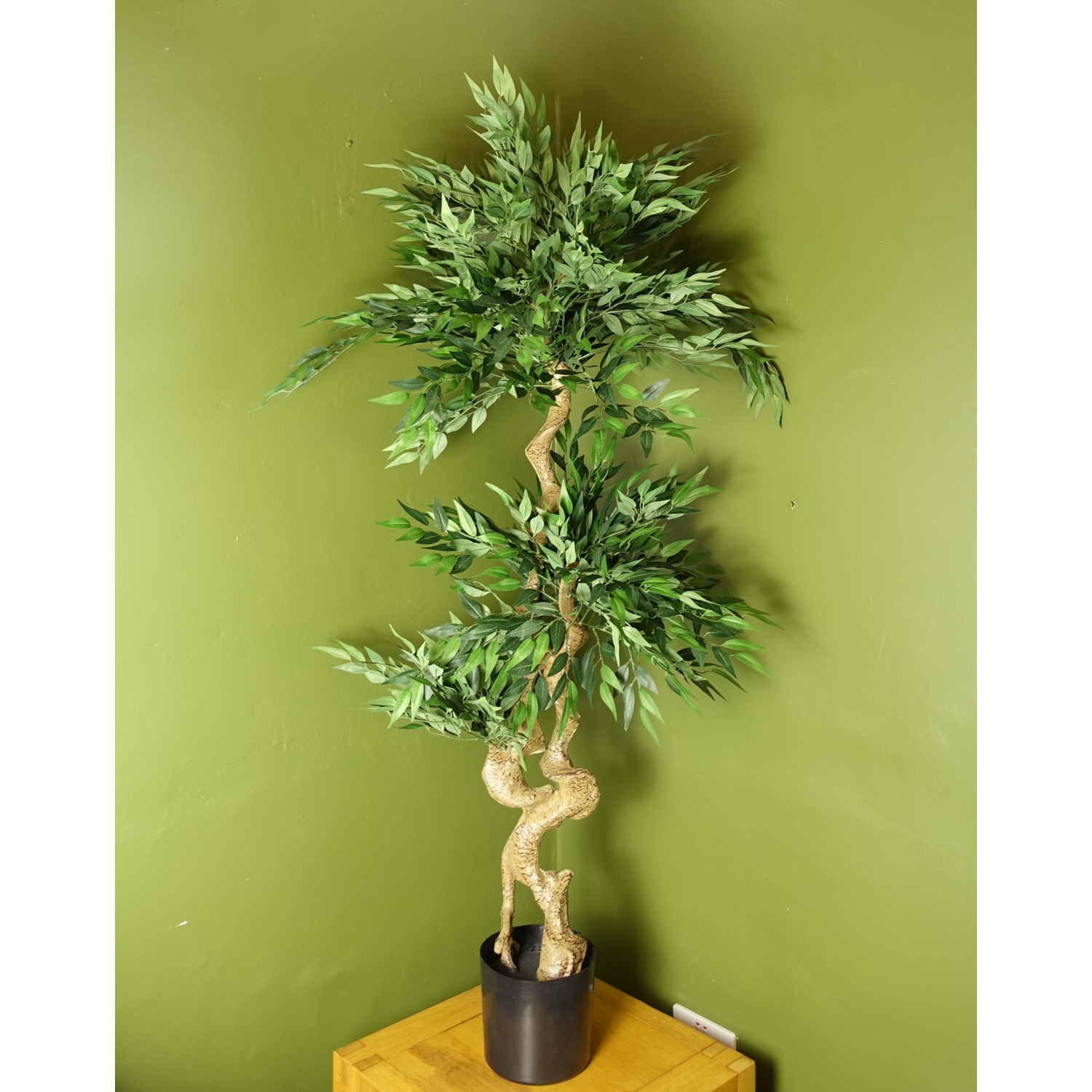 Leaf Japanese Ruscus Tree Double Twist Trunk Natural Look - Green
