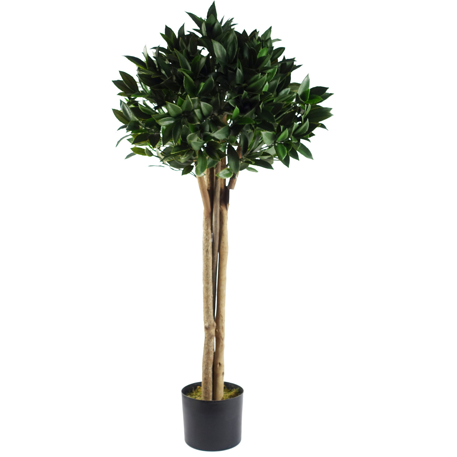 Bay Tree Laurel UV Resistant Outdoor Topiary - Bay Laurel UV