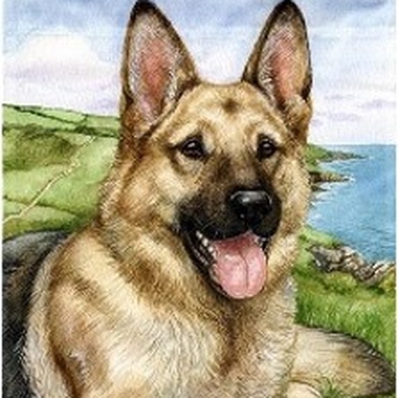 German Shepherd Paint by Numbers Kit