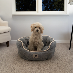 AllPetSolutions Alfie Soft Dog Bed - Grey