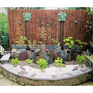 Bark Wood Natural Screening Rolls