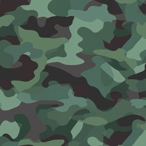 Camouflage Wallpaper in Woodland Green