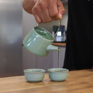 Herbal Jade Teapot Set with Cups Elegant Tea Ceremony Kit