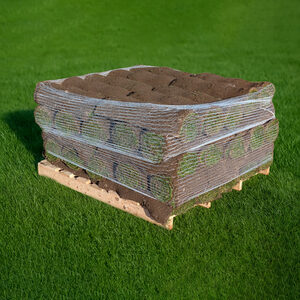 TurfWorld Emerald Lawn Turf 20m²