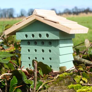 Bee Hive