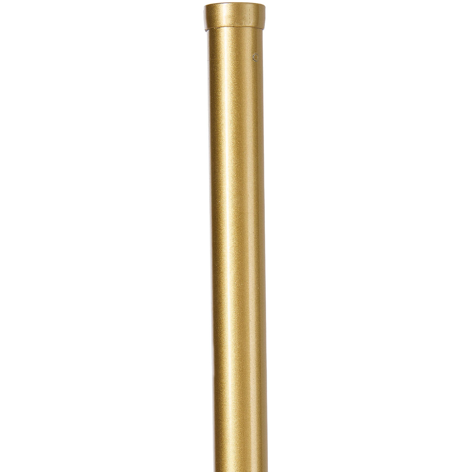 Modern Dimmable Led Floor Light With Remote - Gold
