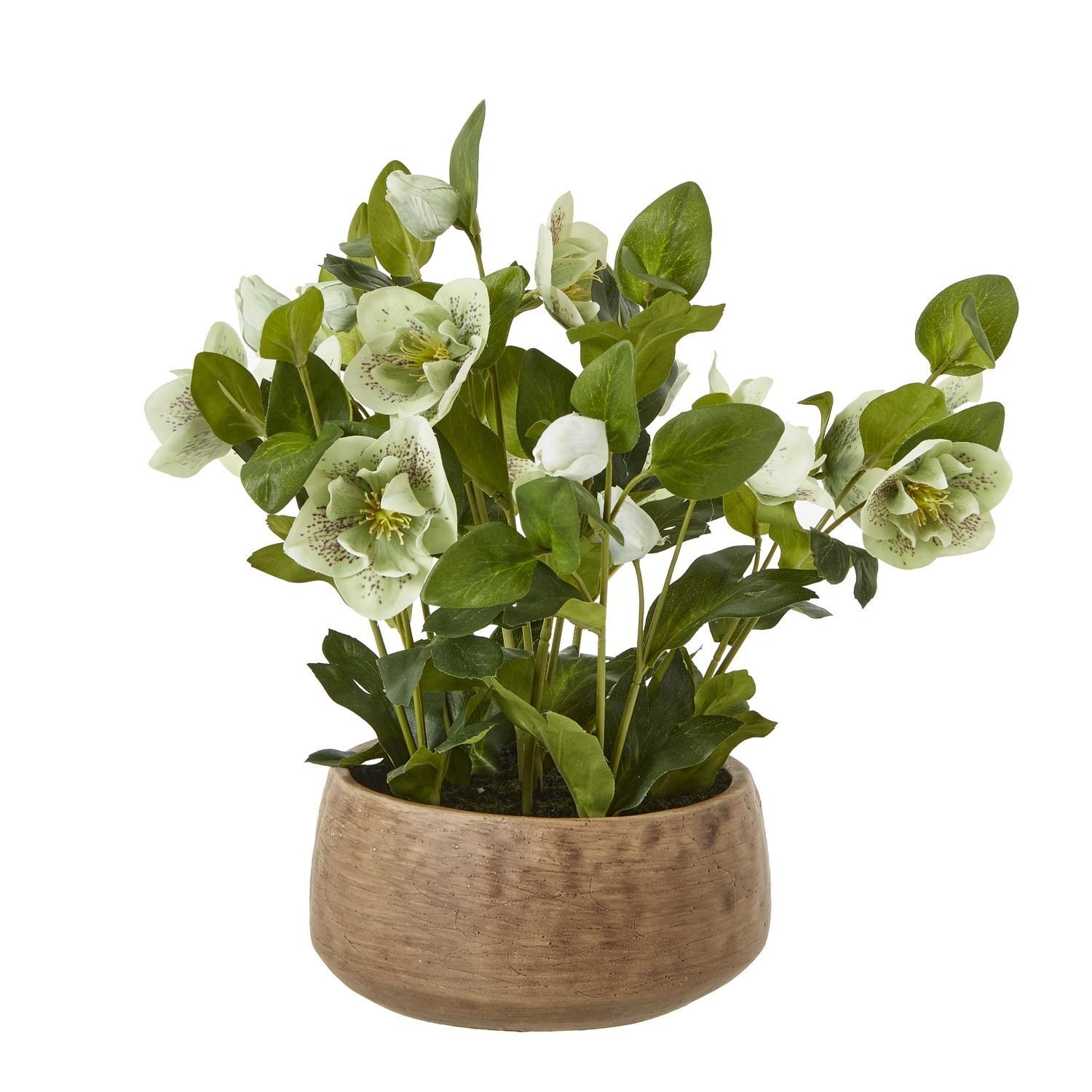 Hill Interiors Hellebore Artificial Potted Plant - Green/Taupe / 1.0Cm