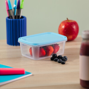 Pack of 5 Wham Food Boxes