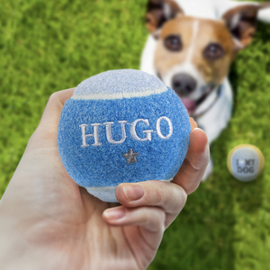 Pre-personalised Dog Ball Toy - Hugo - Over 100 Options