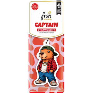 Frsh Scents Capybara Car Air Freshener