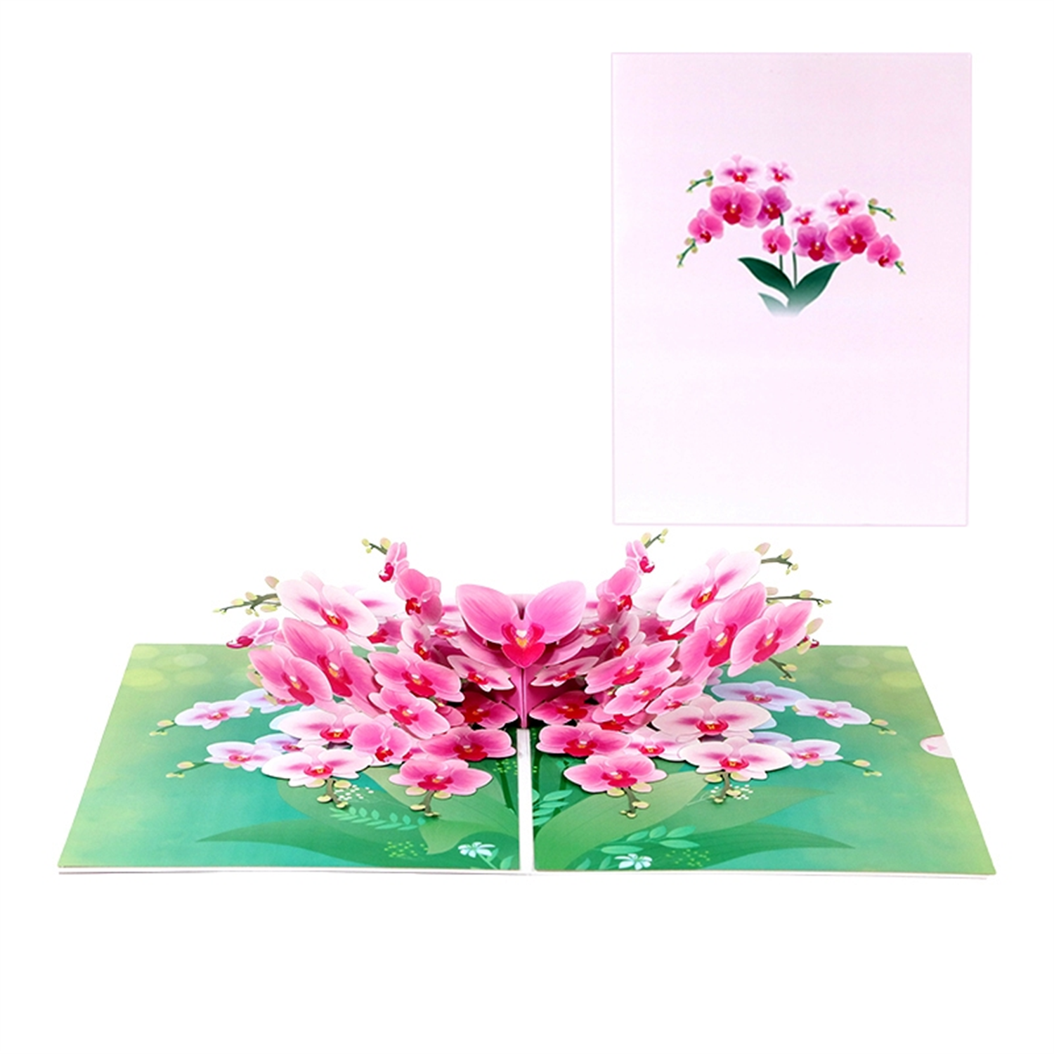 Orchid Elegance Floral 3D Pop Up Greeting Card-Mother's Day Anniversary Birthday - Image 2
