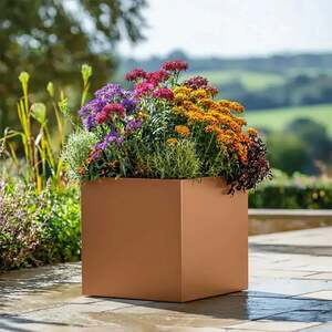 shot 21865214