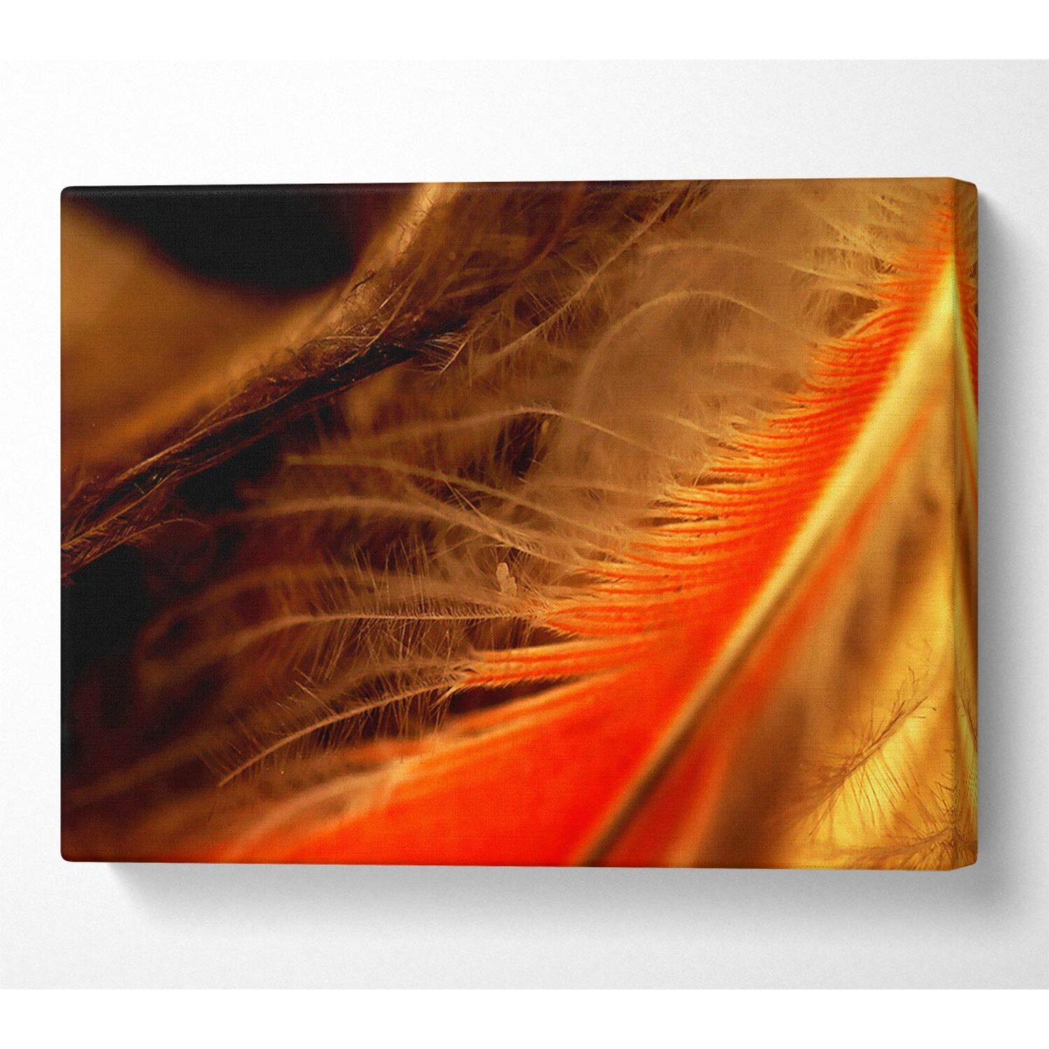 Wallart-Direct - Orange Feather Macro Canvas Print Wall Art - Yellow / 101.6cm thumbnail