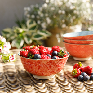 Set of 4 KitchenCraft Leaf Print and Terracotta Look Ceramic Bowls