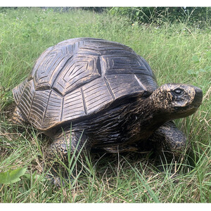 Tortoise Statue