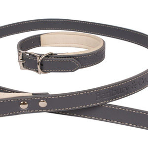 Banbury and Co Luxury Dog collar and Lead Set