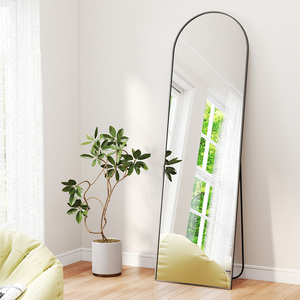 165 x 60cm Full Length Floor Mirror
