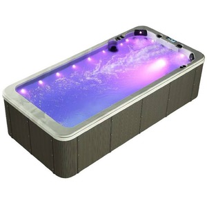 Palm Spas Value Swim 2 Seater Swim Spa 32 Amp American Balboa
