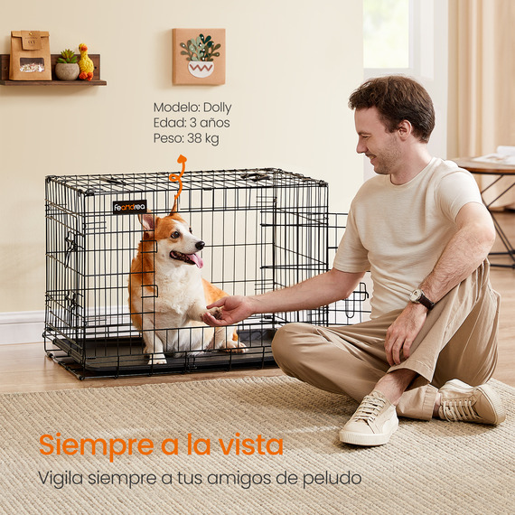 FEANDREA Foldable Black Dog Crate, M Size, Double Doors
