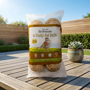 Pack of 6 Daily Fat Balls