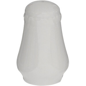 Quinn White Salt Shaker