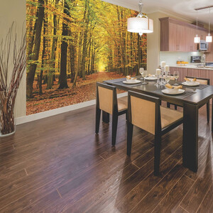 Autumn Forest Spice Wall Mural