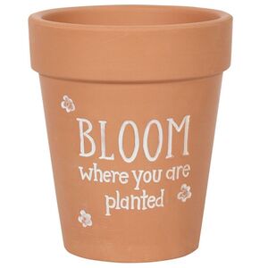 Something Different Bloom Where You Are Planted Terracotta Plant Pot