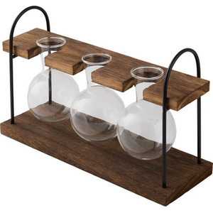 Lifeideas Triple Bulb Hydroponic Vase with Stand