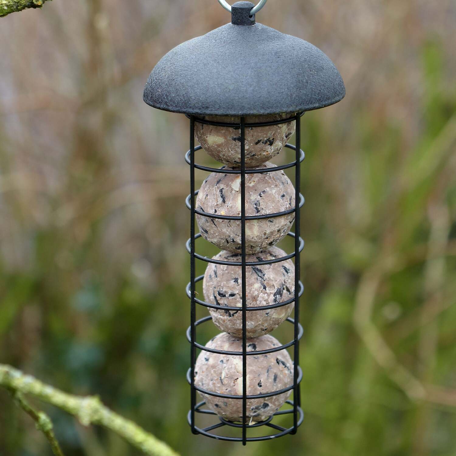 Gardman Black Steel Fat Snax Feeder - Black