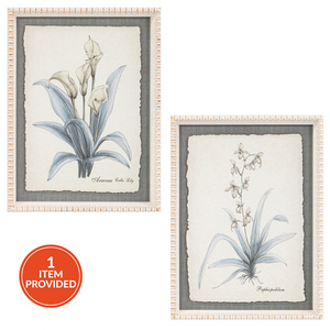 Flower Hand Sketch Effect Framed Art