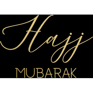  shot 19817799