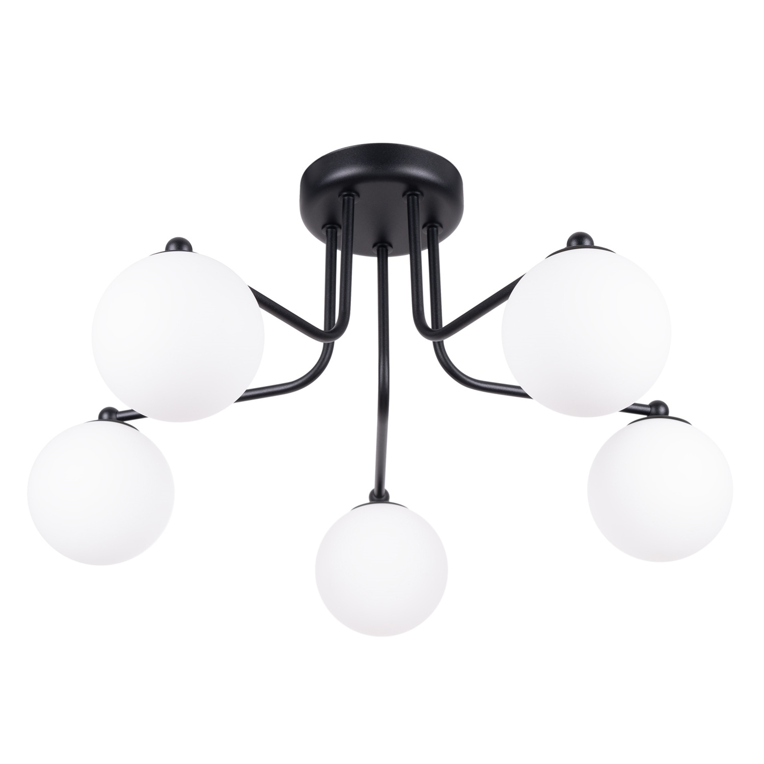 Sollux Lighting Chandelier Astral 5 Black - Black/White