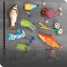 cat toys