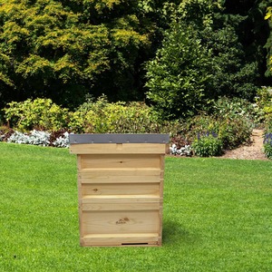 National Bee Hive Pine Bee Keeping 2 Super 1 Brood