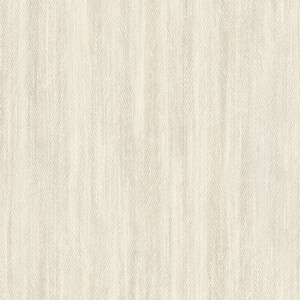  shot 6502755
