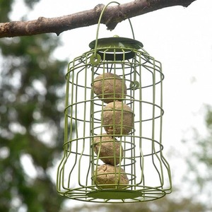 Squirrel Proof Bird Feeder