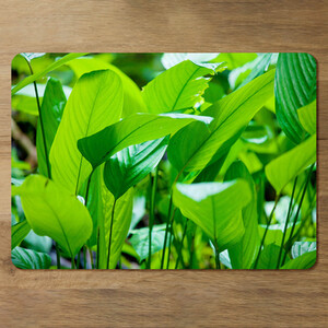 Green leaf background abstract of nature Designer Placemat Set