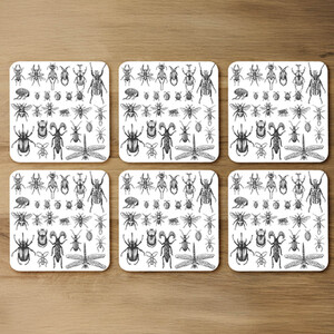 Fleas many species in vintage old hand drawn style Designer Coaster Set