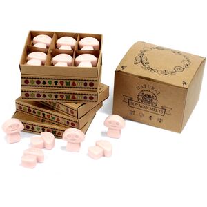 Box of 6 Natural Soy Wax Melts - Old Ginger