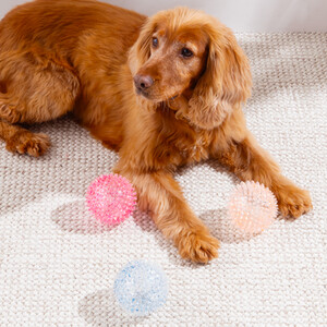 Squeaky Spiky TPR Ball Dog Toy