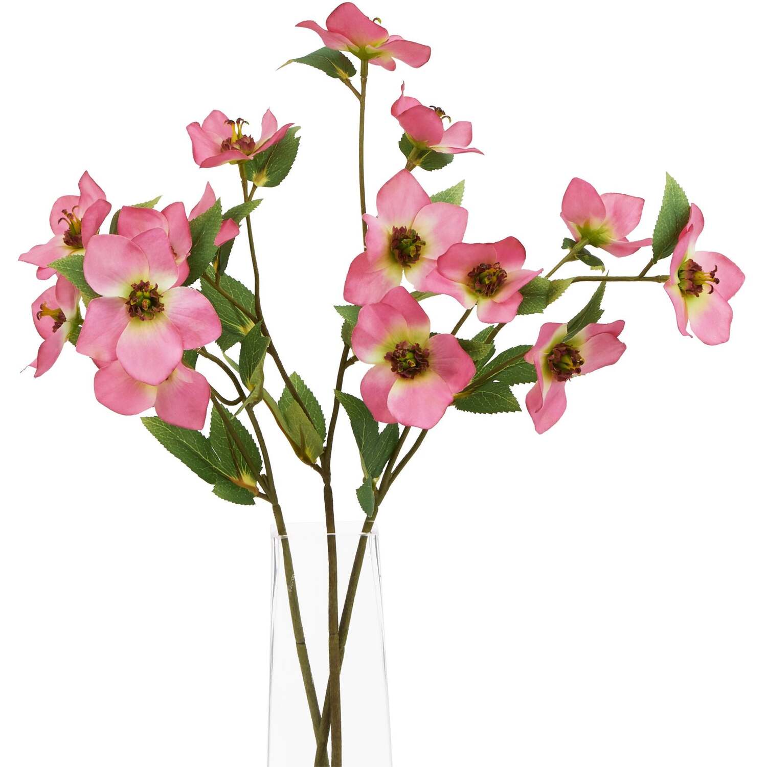 Wyld Haus Set of 3 Pink Variegated Artificial Hellebore Stems - Pink