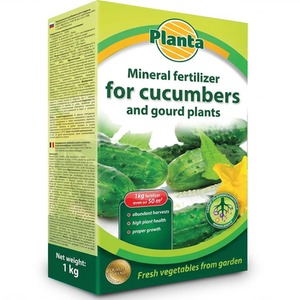 Mineral Fertiliser Cucurbit Plants